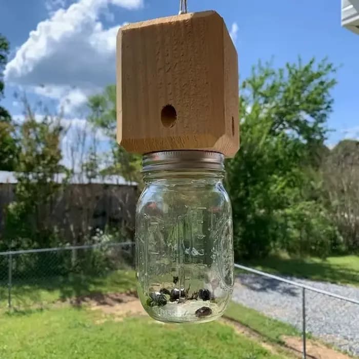 Piège à abeilles de charpentier pour l'extérieur