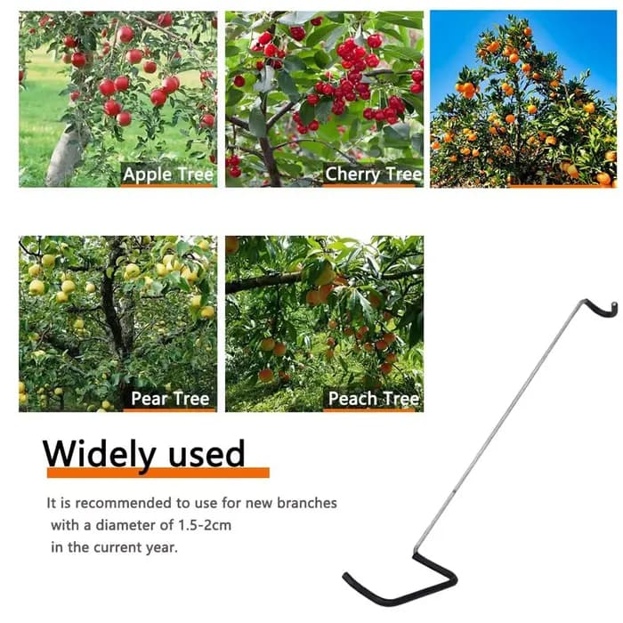 Écarteur de branches d'arbres fruitiers