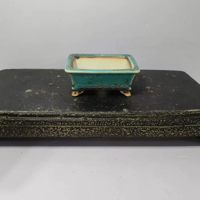 Mini bonsaï émaillé de haute qualité avec forme rectangulaire