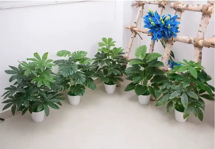 Plantes artificielles d'aloès vert