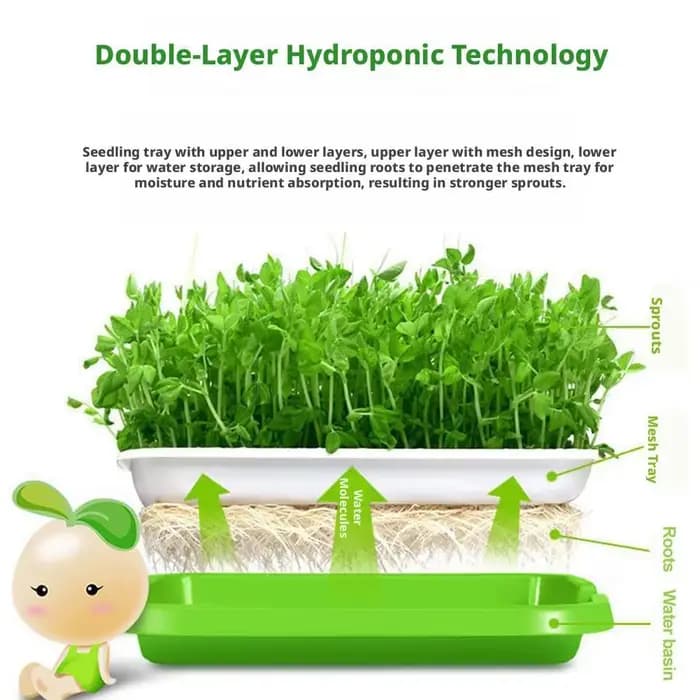 Plateau de germination hydroponique sans terre