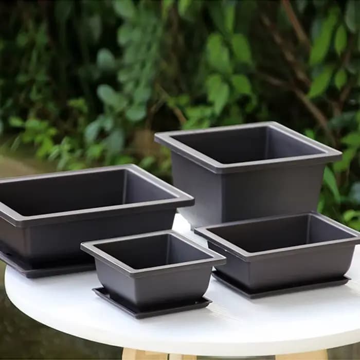 Pots d'entraînement bonsaï rectangulaires