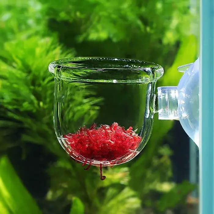 Pot pour plantes aquatiques en acrylique avec ventouse