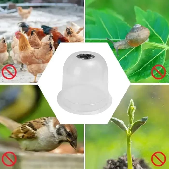 Mini serre en plastique