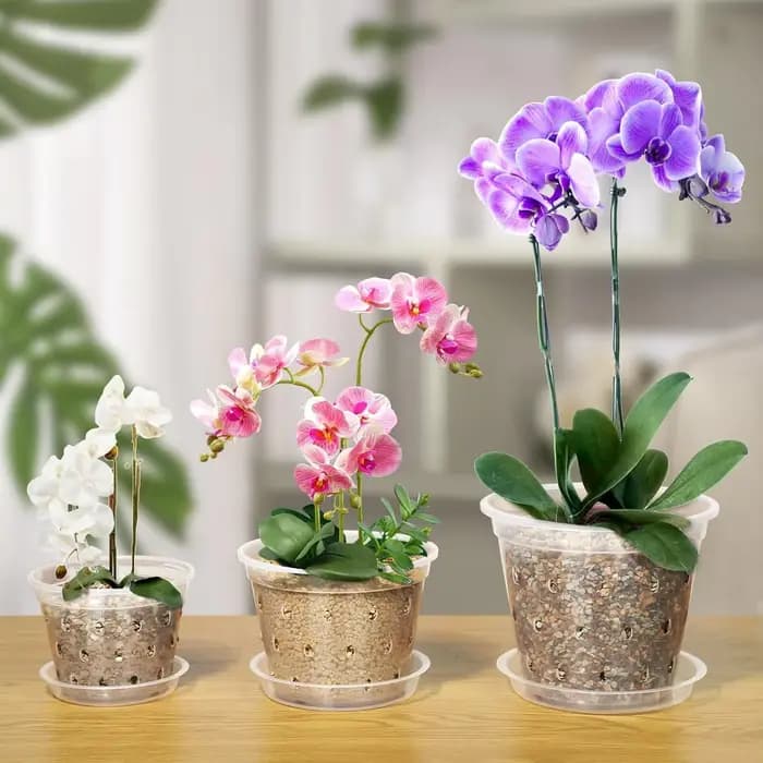Pot d'orchidée Transparent 4/5/6/7 pouces