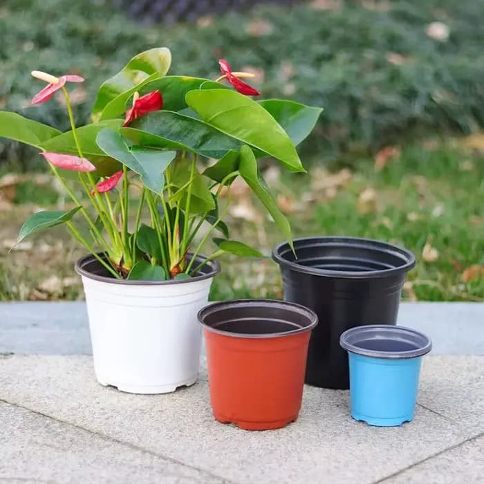 50/100 pièces Pot De Fleurs En Plastique Grow Box Chute Degré escalade Accueil Jardin Plantes Pépinière Tasse