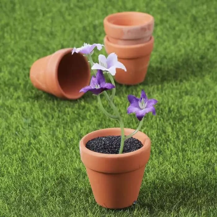Pot de fleurs en poterie rouge