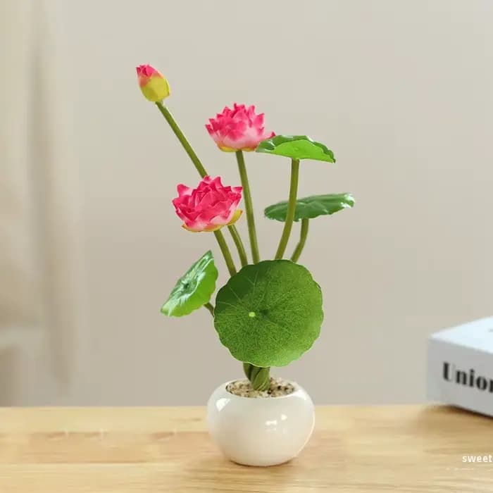 Fausse fleur de nénuphar en pot