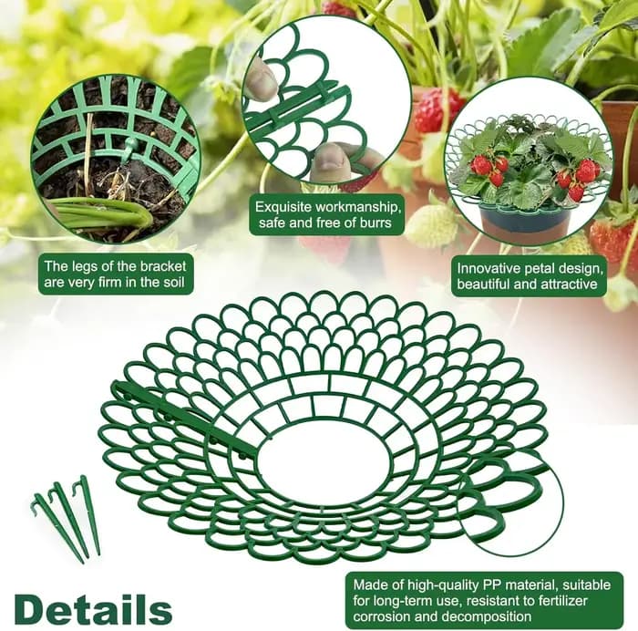 Support de fraises, fournitures agricoles