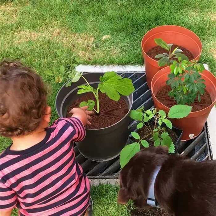 Protections de pots de plantes découpables