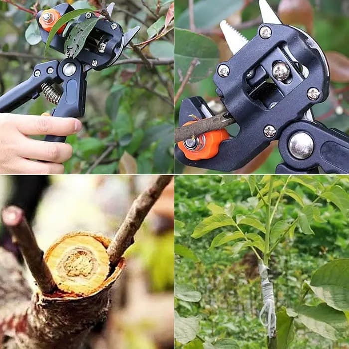 Sécateur de jardin domestique