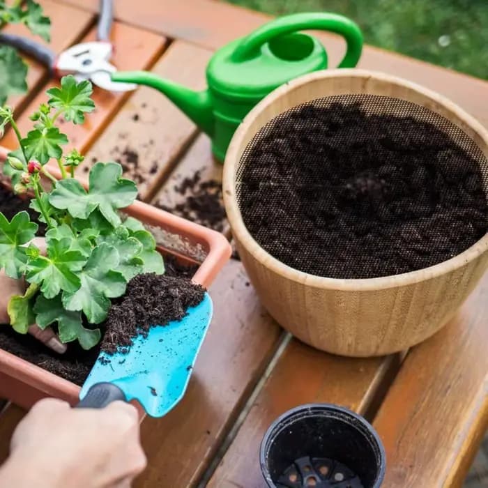 4 couvre-pots pour plantes