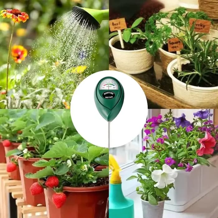 Testeur d'humidité du sol, détecteur d'humidité du sol, hygromètre, outil de mesure pour l'arrosage des plantes, le jardinage à domicile et la culture des fleurs