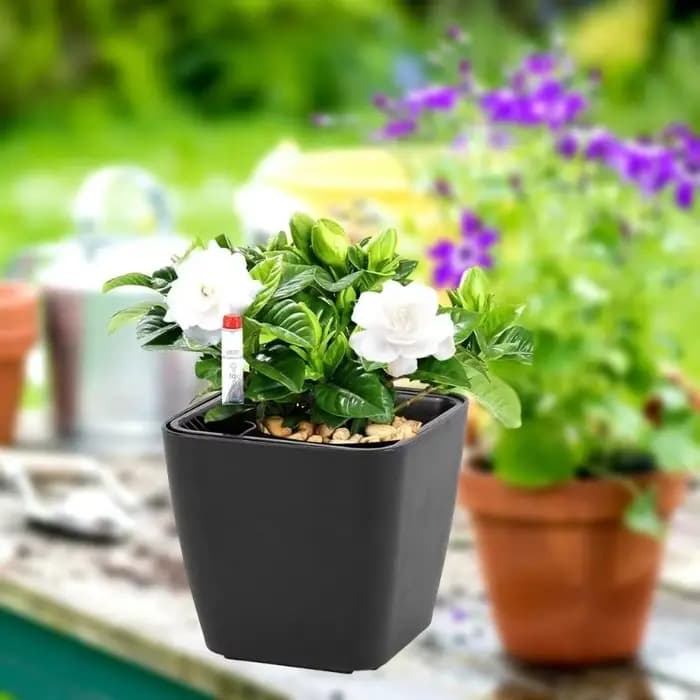Pots de fleurs auto-arrosants avec dispositif de niveau d'eau