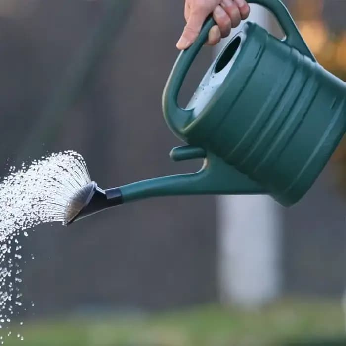 Arrosoir de jardinage intérieur/extérieur, arrosoir en plastique léger de 5 L