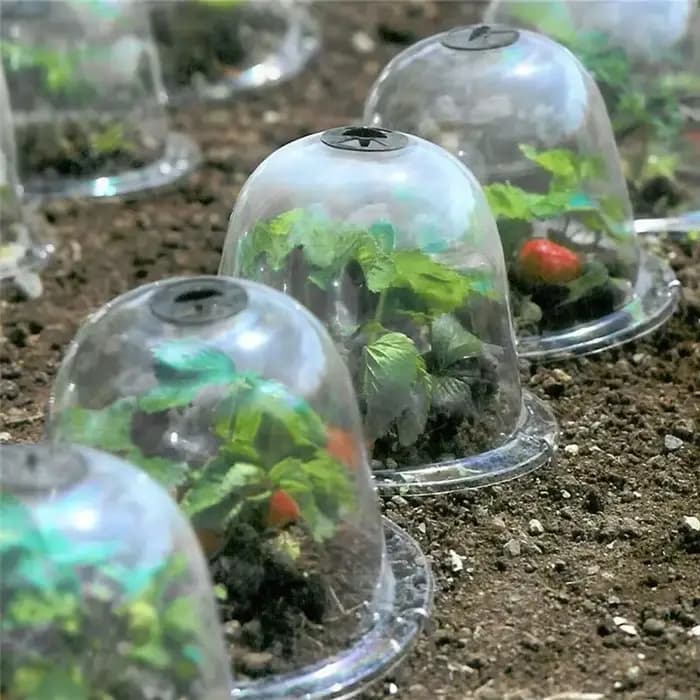 Mini serre en plastique