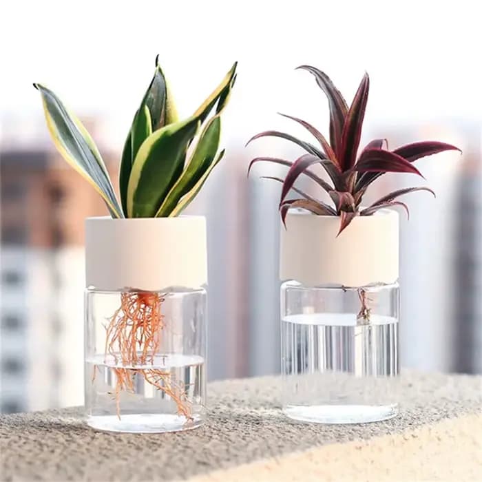 Mini Pot de fleur hydroponique