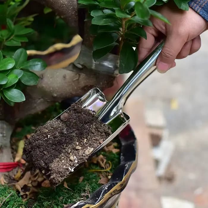 Petit outil de jardinage pour rempotage, pelle à nez pointu, pelle de jardin, pelle carrée