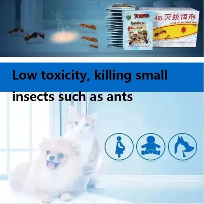 Poudre insecticide anti-fourmis