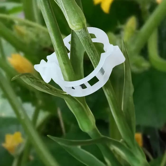 Clips de Support de plantes en plastique réutilisables