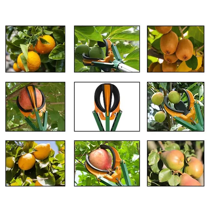 Sélecteur de fruits 2 en 1