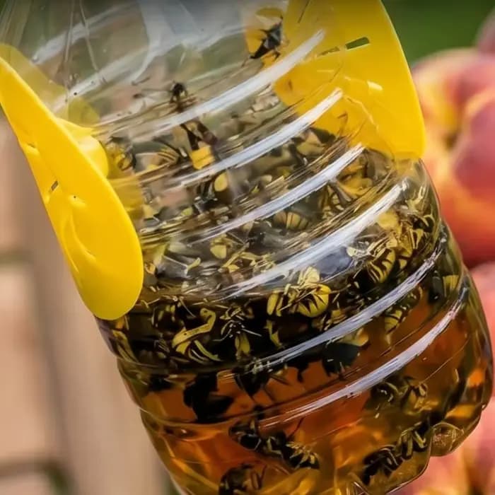 Piège à guêpes d'extérieur en forme de fleur
