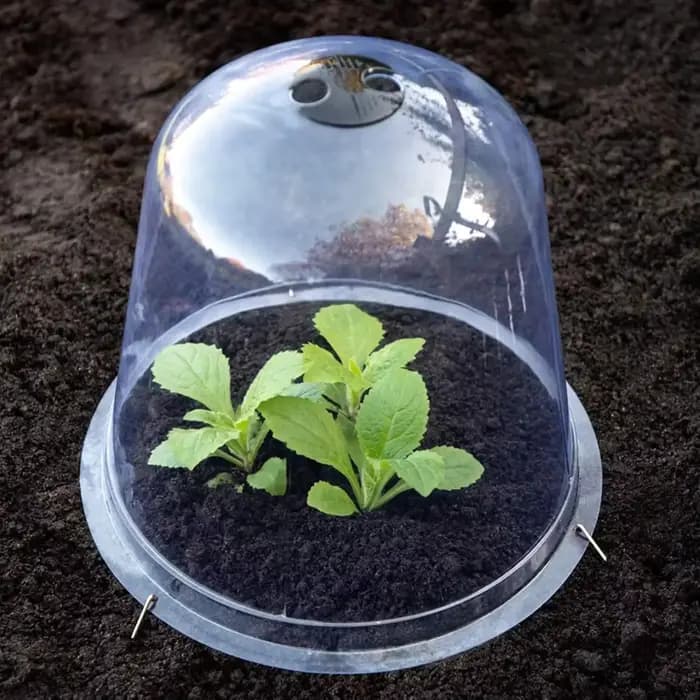 Mini serre en plastique