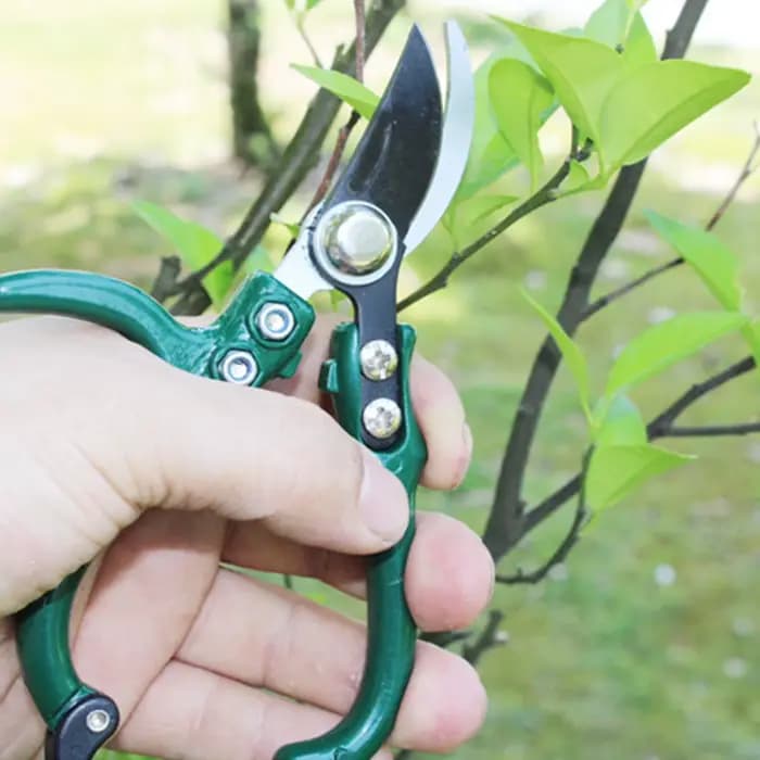 Sécateur de jardinage à col sectionnel