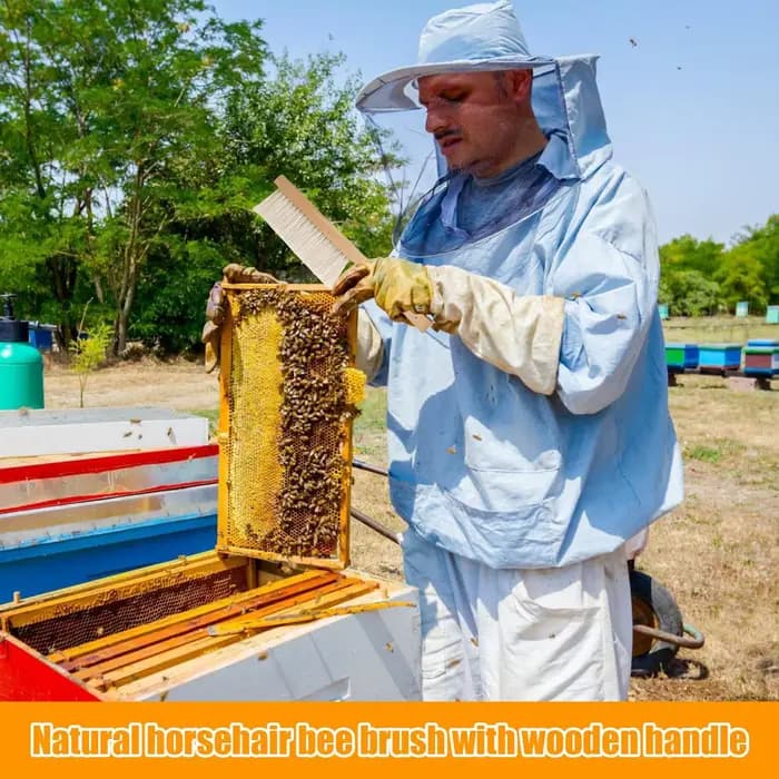 Outils d'apiculture : Brosse à miel en bois