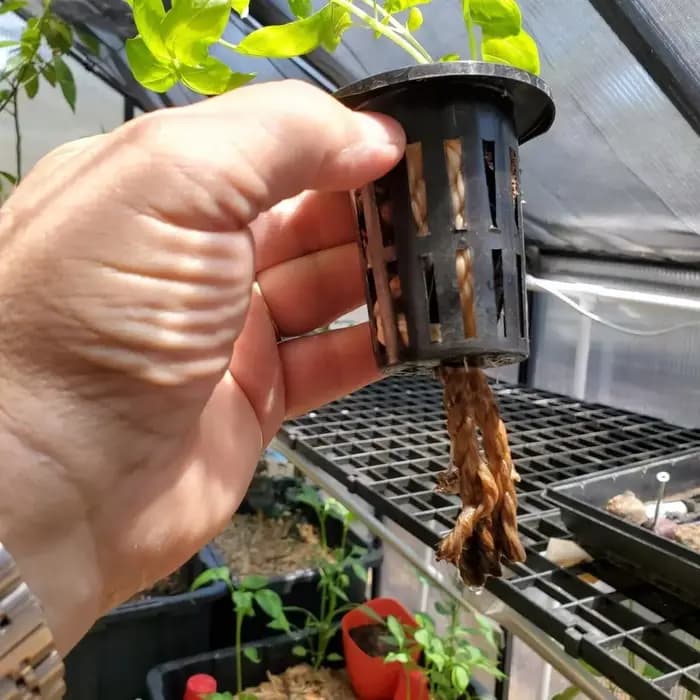 Mir pour plantes hydroponiques aquaponiques et orchidées