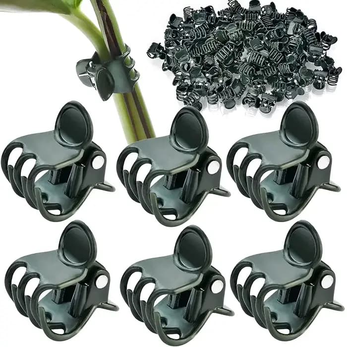 Pinces à plantes vert foncé à 6 griffes, 50/100 pièces, pince de Support de fleurs d'orchidée, fermo