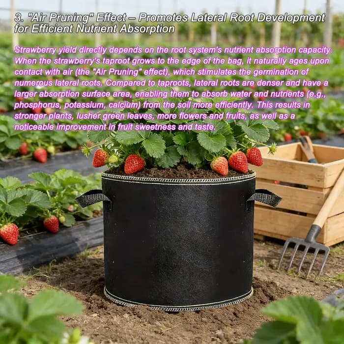 Sacs de culture de fraises de 3 gallons, 68 pièces, avec poignées, accessoires de jardin, sacs de pl