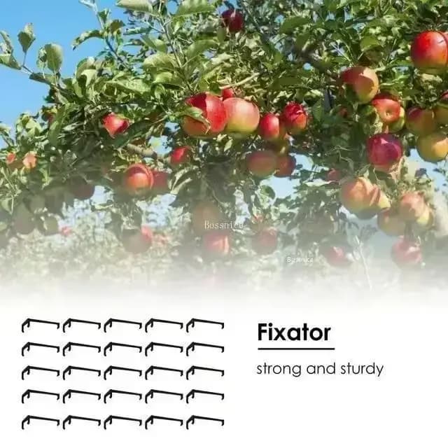 Clips pour arbres fruitiers, Support de vignes, façonneurs torsadés, extracteur de Branches, outils