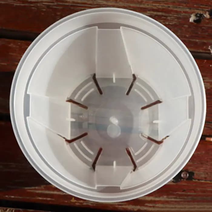 Pots d'orchidées en plastique transparent avec trous, pot de fleur transparent, plantes succulentes,