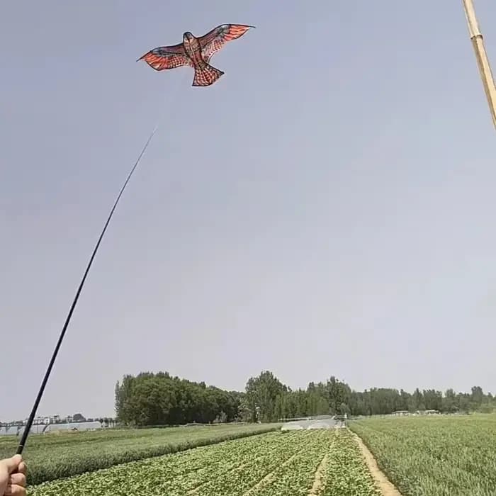 Émulation de faucon volant, cerf-volant, épouvantail d'oiseaux, répulsif d'oiseaux pour jardin, épou
