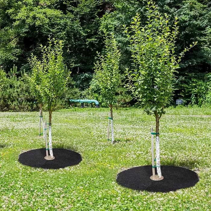 Anneau de paillis d'arbre Non tissé 15cm-82cm, barrière de désherbage, tapis de protection épais, co