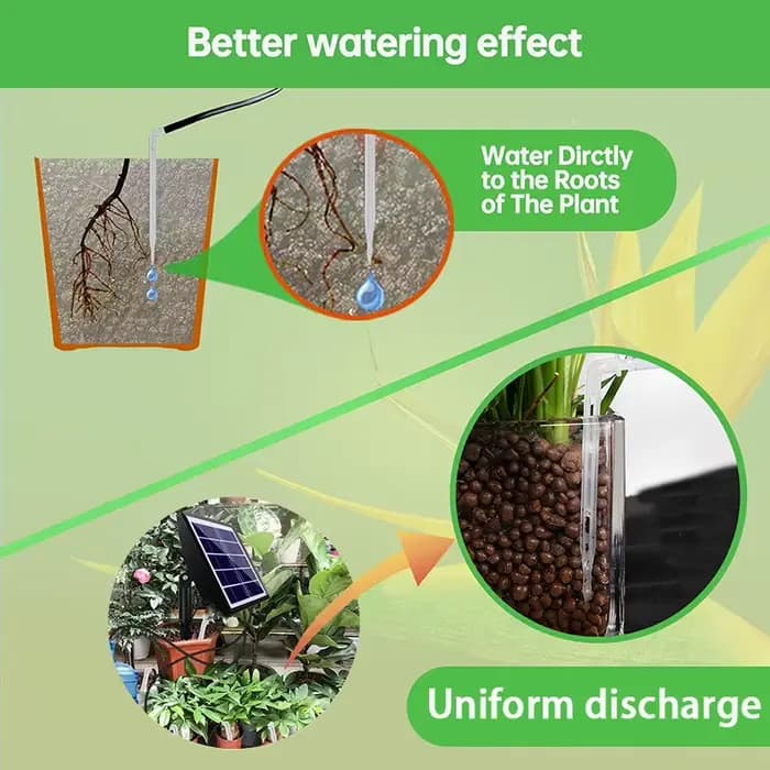Kit de système d'irrigation goutte à goutte automatique solaire, Machine à eau pour plantes avec Ant