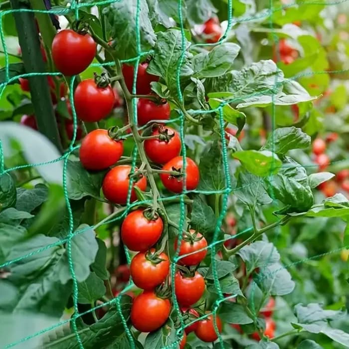 1 filet de treillis en nylon robuste pour plantes grimpantes d'extérieur, filet de jardinage en nylo