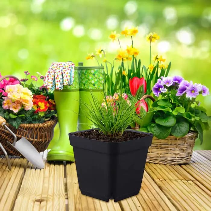 Pots de semis réutilisables, 50 pièces, Pots de jardinage carrés pour plantes de démarrage, Pots de