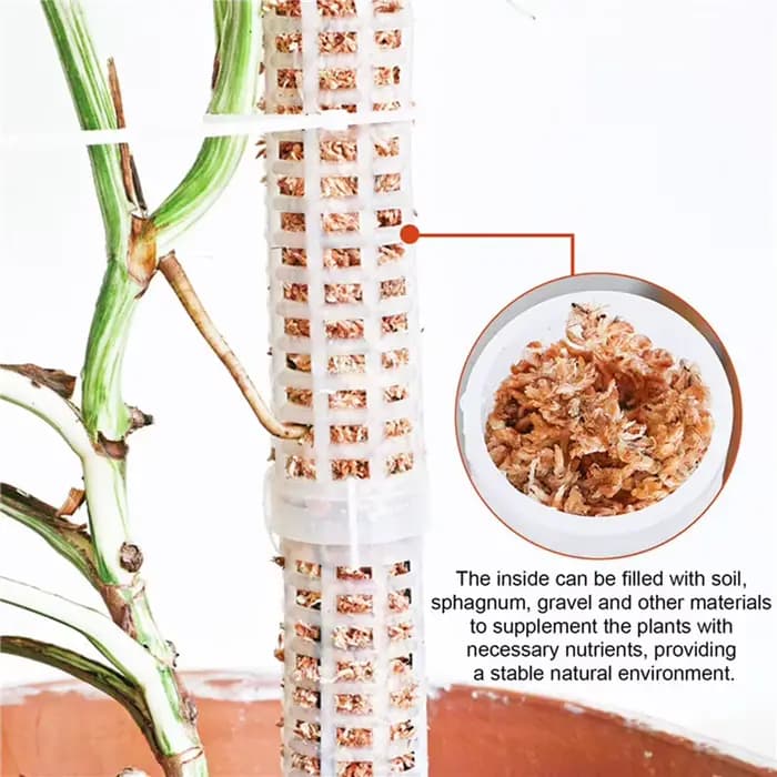 Bâton d'escalade pour plantes, Support pour plantes sphagnes, cadre en treillis, colonne de mousse d