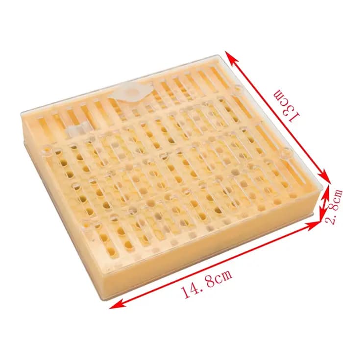1 ensemble abeille reine élevage roi nouveau plastique couleur marron/vert cellules Cages chambre ta