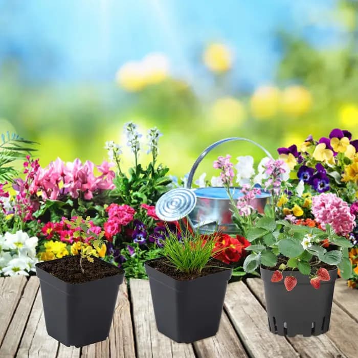 Pots de semis réutilisables, 50 pièces, Pots de jardinage carrés pour plantes de démarrage, Pots de
