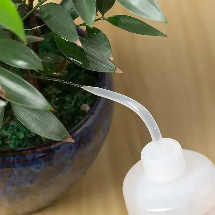 Bouteille à pression en plastique transparente avec échelle, bouteille d'eau à buse incurvée, livres