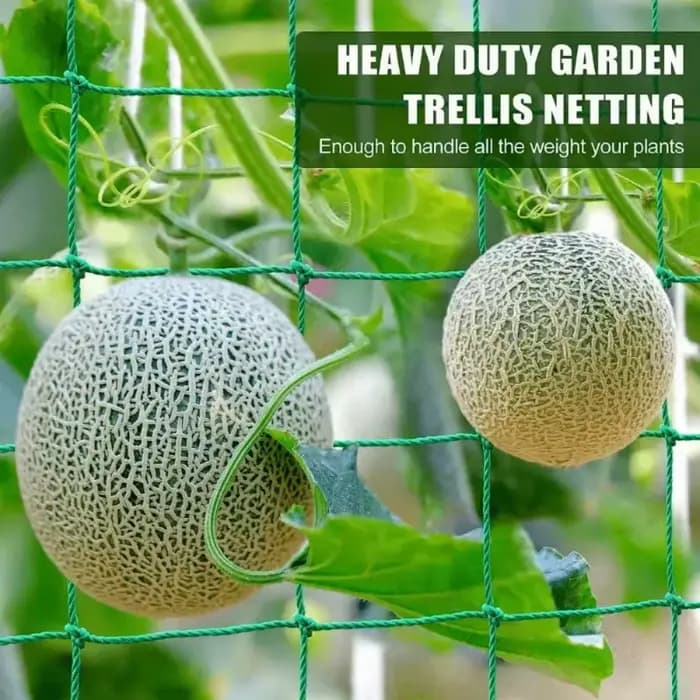 1 filet de treillis en nylon robuste pour plantes grimpantes d'extérieur, filet de jardinage en nylo