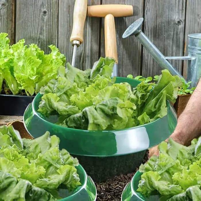 Collier d'escargot réutilisable, 10 pièces, anneaux de couverture agricole pour économiser l'eau, ac