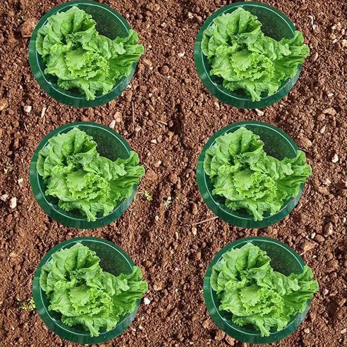 Collier d'escargot réutilisable, 10 pièces, anneaux de couverture agricole pour économiser l'eau, ac