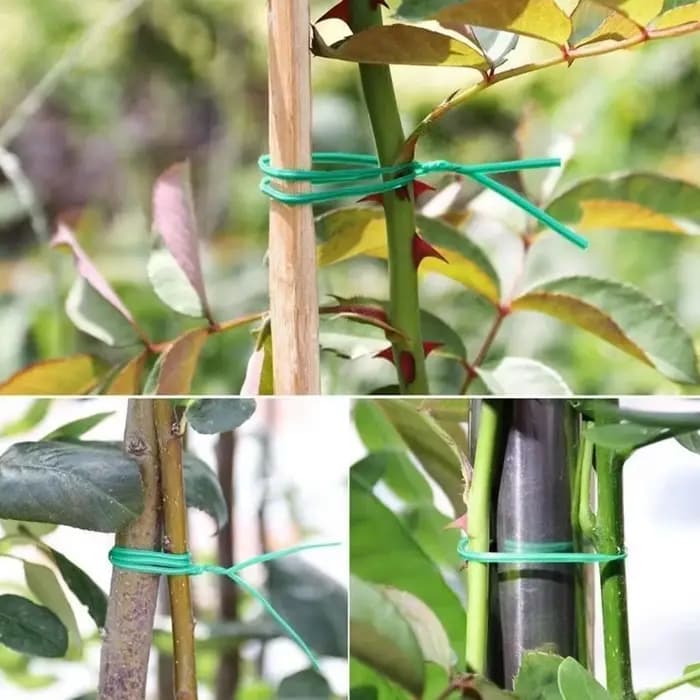 30 pièces bambou vert bâtons plante Support fleur bâton orchidée tige plante bâtons pour soutenir pl