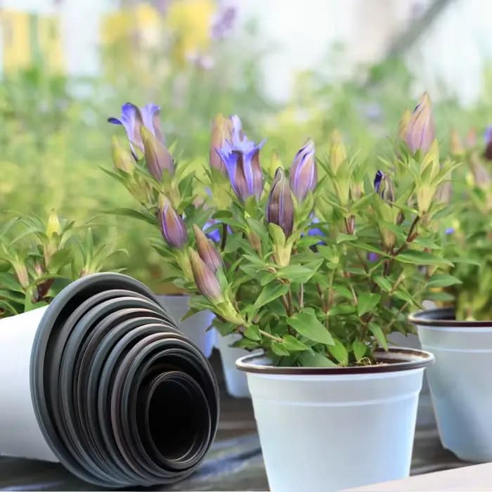 Pot de fleurs TCC blanc pour la culture, pot de plantes succulentes, coupe de semis de plantation si