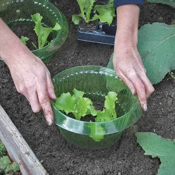 Collier d'escargot réutilisable, 10 pièces, anneaux de couverture agricole pour économiser l'eau, ac