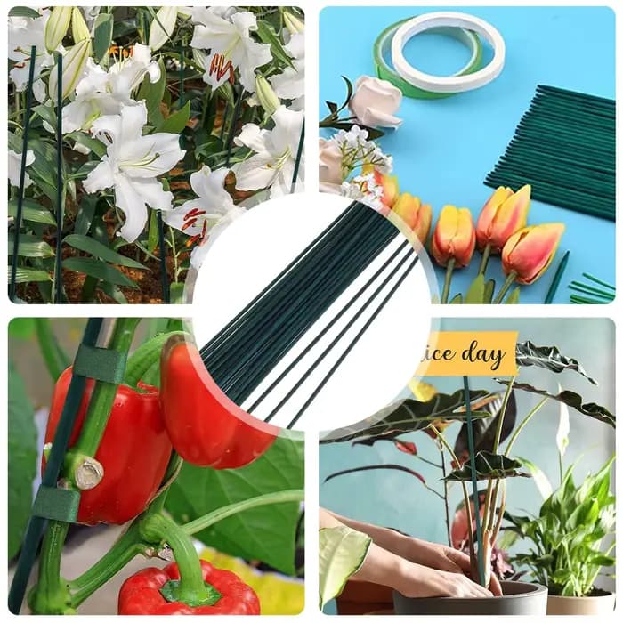30 pièces bambou vert bâtons plante Support fleur bâton orchidée tige plante bâtons pour soutenir pl
